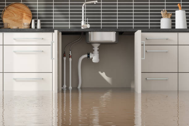 Best Commercial Water Damage Restoration in Stedman, NC